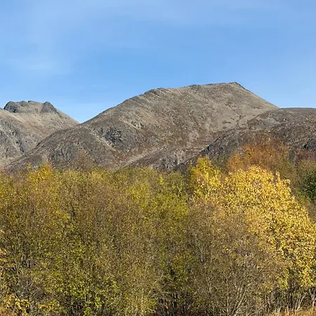 Det Gamle Huset I Oksfjordhamn * Sandelva